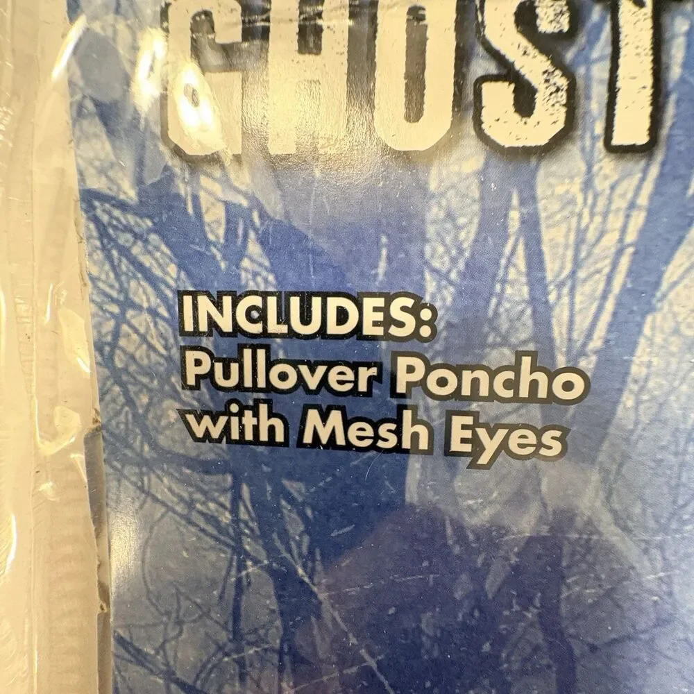 Spirit ghost costume
